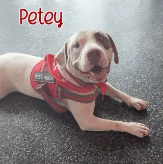 Petey