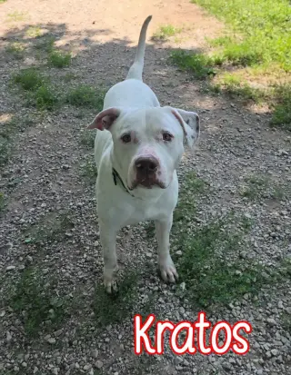 Kratos