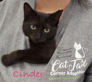 Cinder