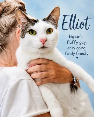 Elliot (FCID# 05/26/2026 - 107) Willow Grove