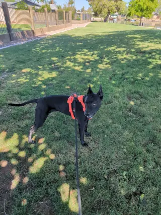 NALA #13