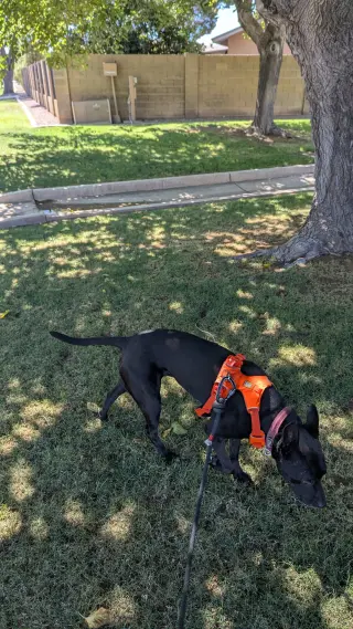 NALA #13