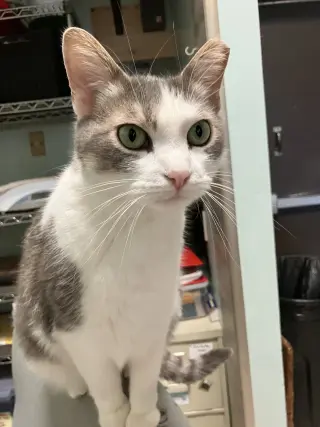 Lily (bonded to Sofi)