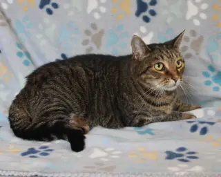 Minnie Mae - 31506