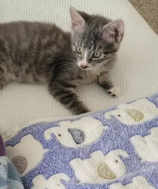 Stormie =^.^=