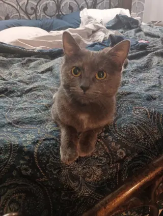Marbles