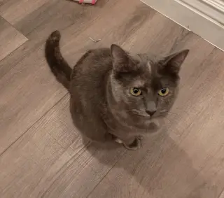 Marbles