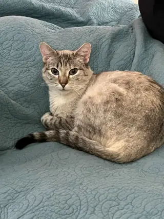 Betsy Ann
