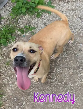 Kennedy