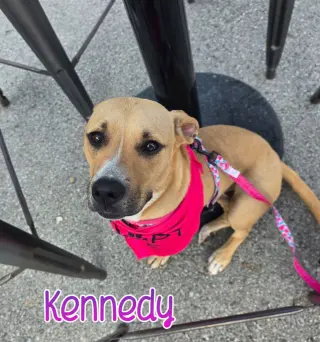 Kennedy