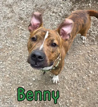 Benny