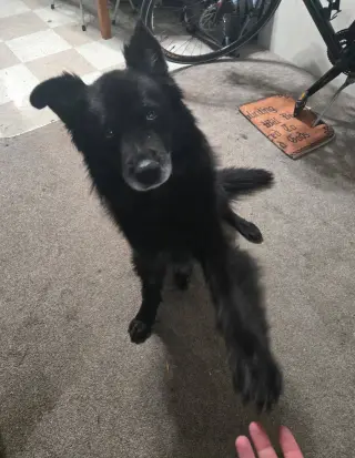 Caspian