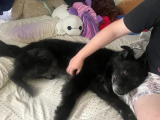 Caspian