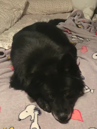 Caspian
