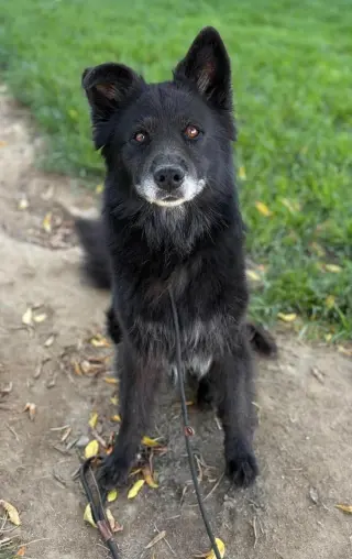 Caspian