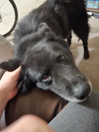 Caspian