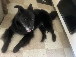 Caspian