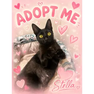 Stella
