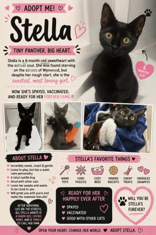 Stella