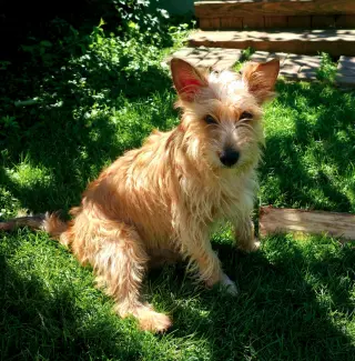 Max