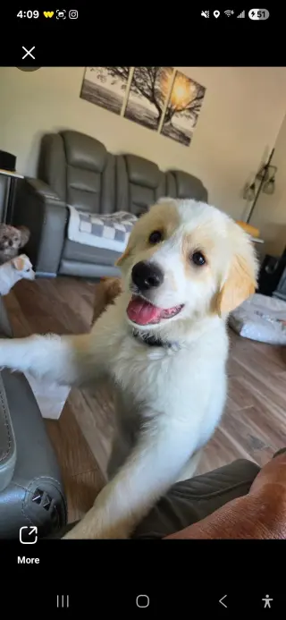 Freya