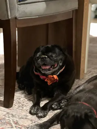 Chloe and Wilma