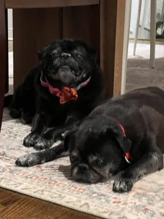Chloe and Wilma