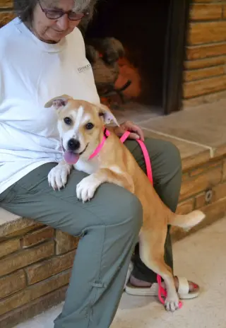 Pippa