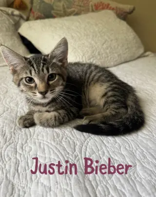 Justin Bieber