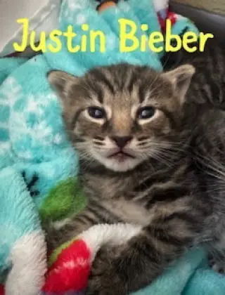 Justin Bieber