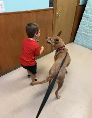 Apollo - He’ll love you to the moon and back