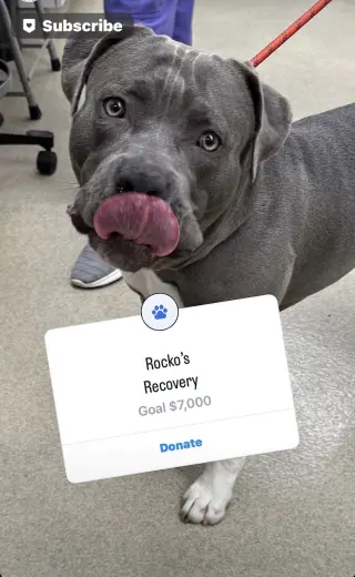 Rocko