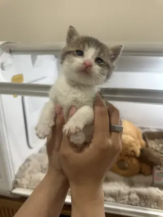 Lucky