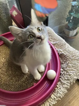 Sally
