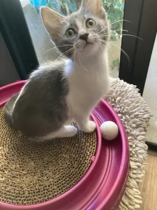 Sally
