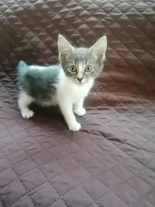 Sally