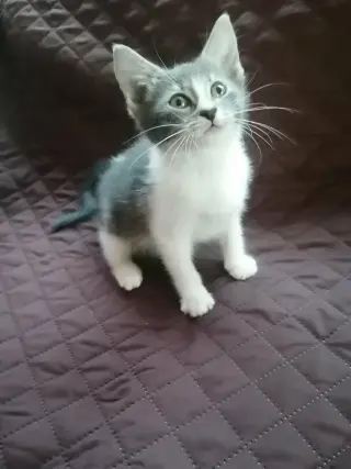 Sally