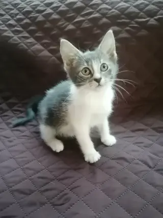 Sally