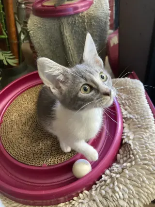 Sally
