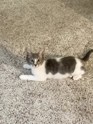Sally