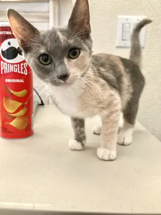 Sweetie