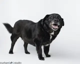 Bonded Pair - Cooper & Artie