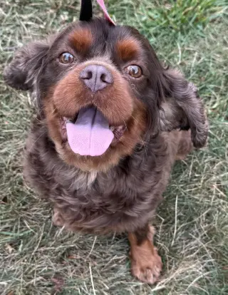 Buster