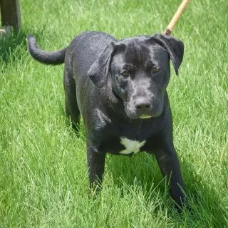 Xena