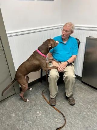 LUNA - Good Dogs Shouldn't Run Out of Time