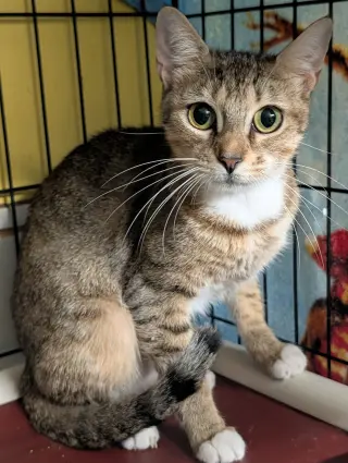 Jessie (Edna)