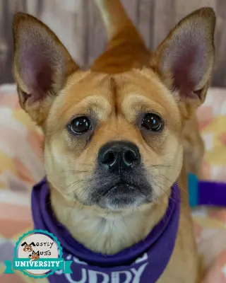 Wanda