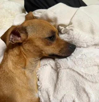 Little-bit