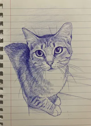 Cora