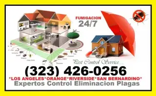 PROFESIONALES EN PLAGAS.
